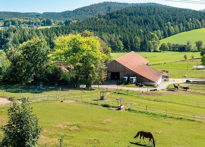 S22 Lägenhet